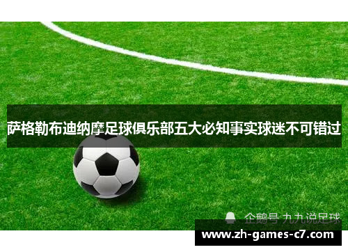 萨格勒布迪纳摩足球俱乐部五大必知事实球迷不可错过