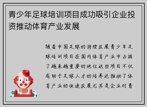 青少年足球培训项目成功吸引企业投资推动体育产业发展
