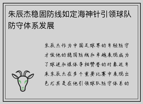 朱辰杰稳固防线如定海神针引领球队防守体系发展